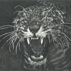 "JAGUAR"