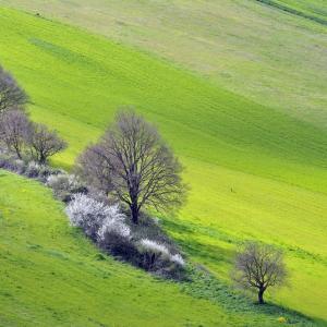 Italy. Basilicata & Campania. Dropouts and rediscovered