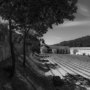 Abbazia di Sènanque (Vaucluse)