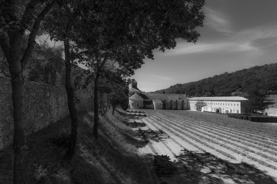 Abbazia di Sènanque (Vaucluse)