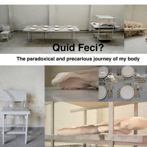 Quid Feci? The paradoxical and precarious journey of my body