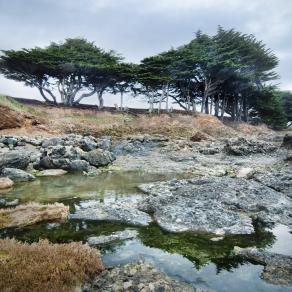 The Sea Ranch