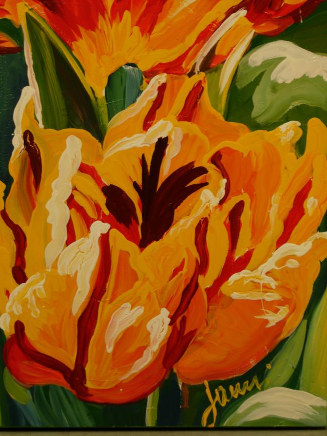 tulipani