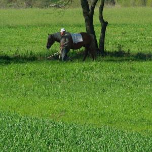 Italy. Basilicata. Potenza (1)