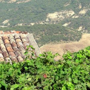 Italy. Basilicata. Potenza (2)