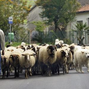 Italy. Basilicata & Campania. Dropouts and rediscovered