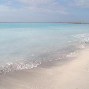 La spiaggia tropicale di Rosignano