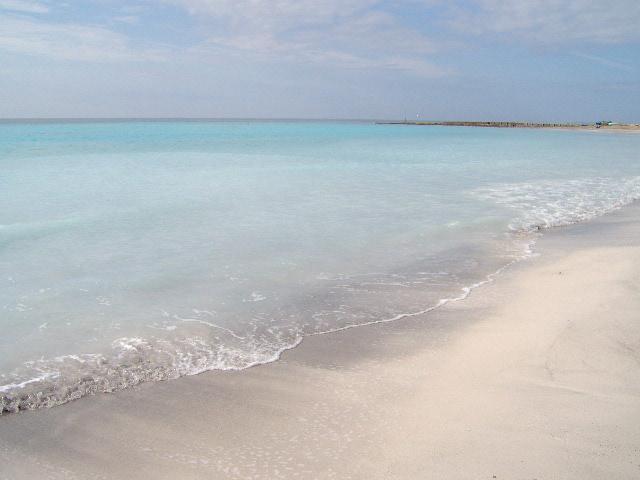 La spiaggia tropicale di Rosignano