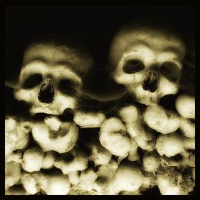 SKULLS 22 - Augusto De Luca photographer