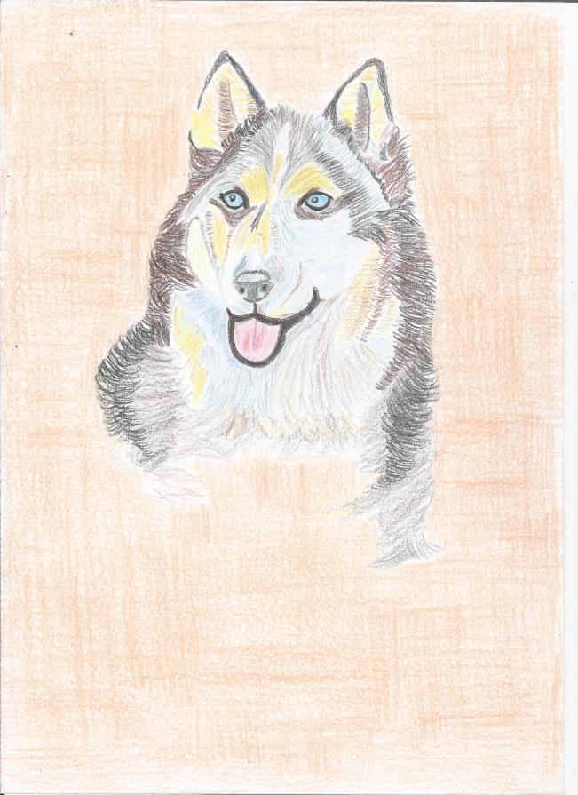 Portrait of dog