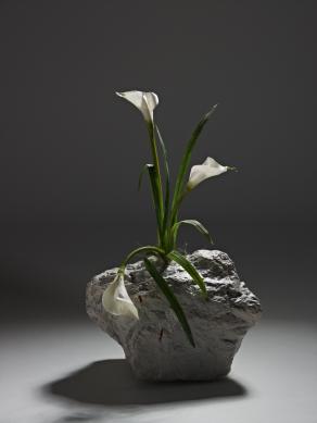 Ikebana Mon Amour