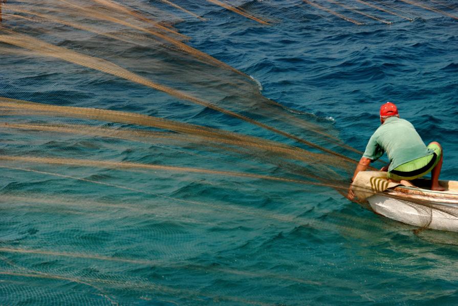 Traditional Fishing at Aegean Sea 