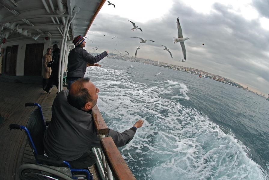 Feeding the seagulls