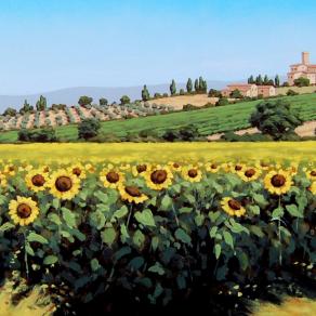 Girasoli in Toscana n. 6