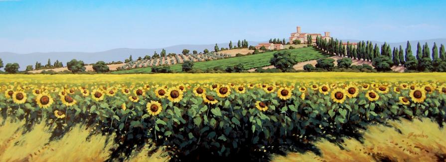 Girasoli in Toscana n. 6