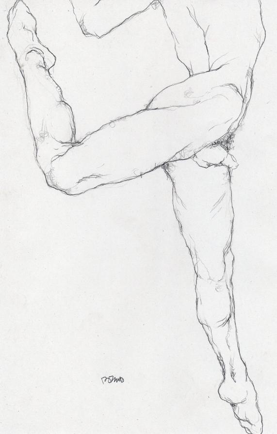 ballerino