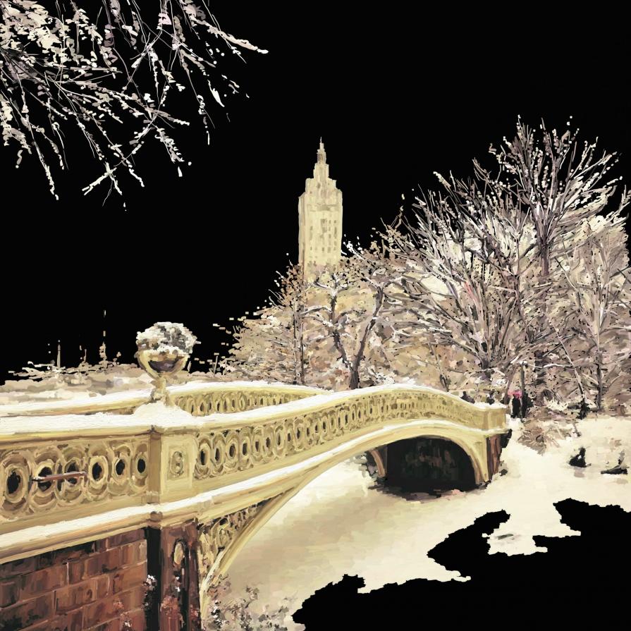 Snow in Central Park