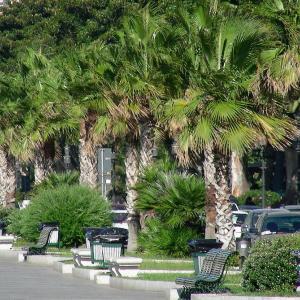 Italy. Calabria. Sea view