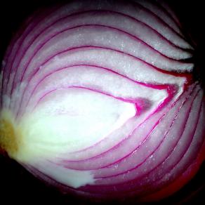 Onion 