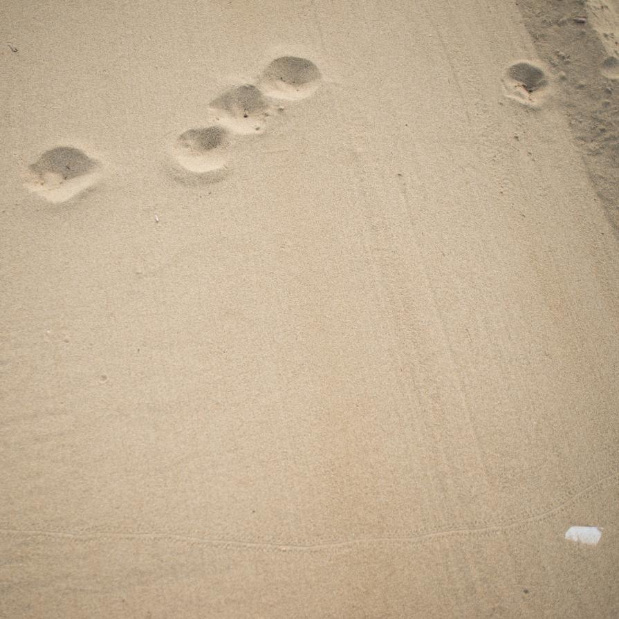 Fuori Servizio #2 il Mare