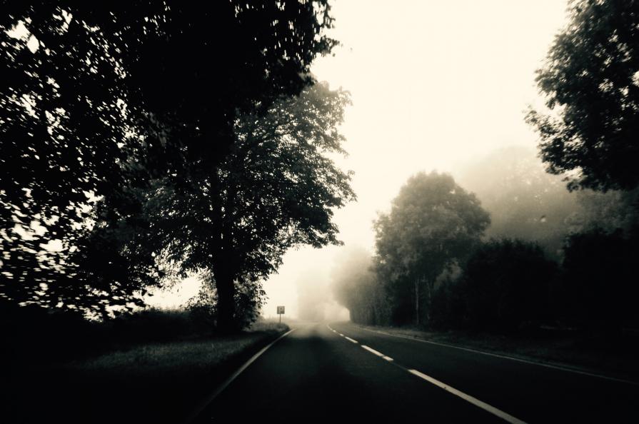 fog, from a window