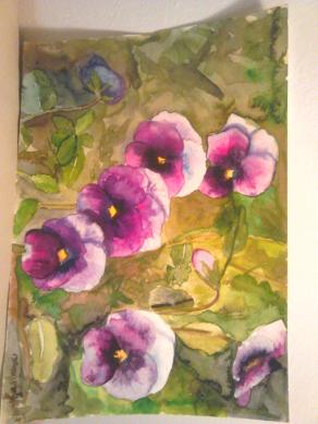 pansies