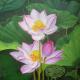 Lotuses IV