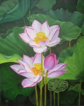 Lotuses IV