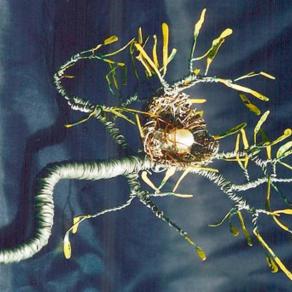 BIRD NEST  No.1 - Wire Sculpture