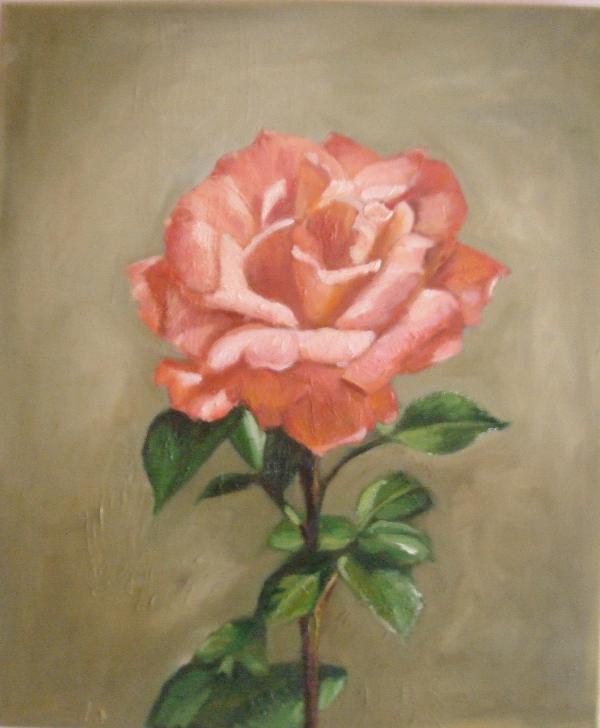 Rose 2