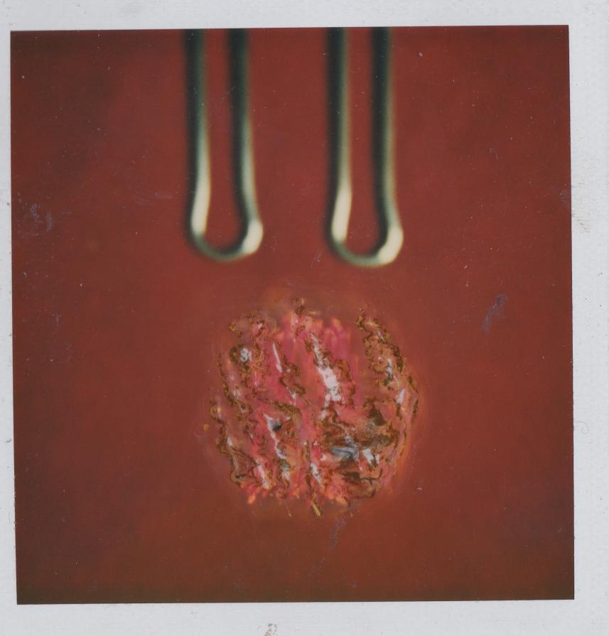 Red Polaroid 03