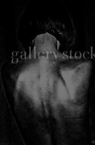  Gallery Stock Collections