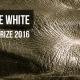 SKIN, Visible White Photo Prize 2016, 5th edition