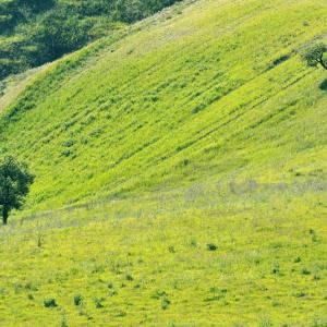 Italy. Basilicata & Campania. Dropouts and rediscovered