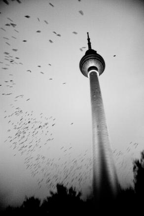 Alexander Platz