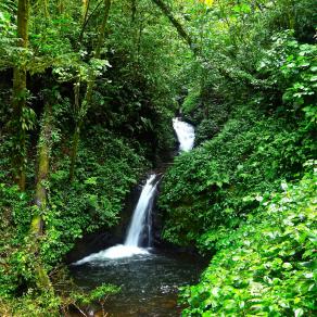 Cascata  Monteverde Costa rica