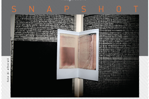 Afterall, “SNAPSHOT” presso la Serra del Museo Pignatelli, fino al 3 marzo