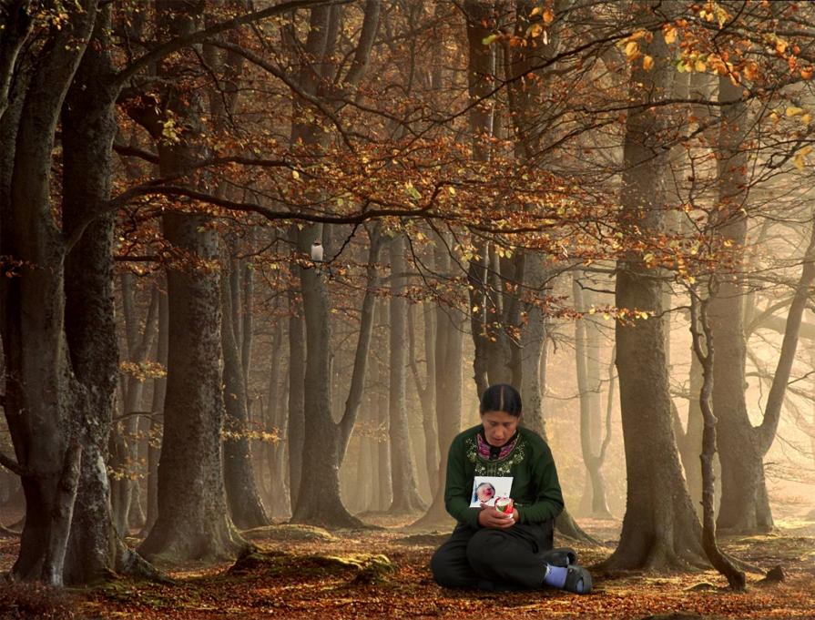 Madonna Of The Magic Forest ,  from the series  " Others In Wonderland "