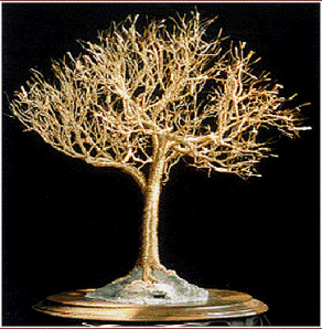 Golden Elm, wire tree sculpture