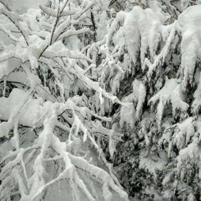 Apocalisse- Abruzzo 2017