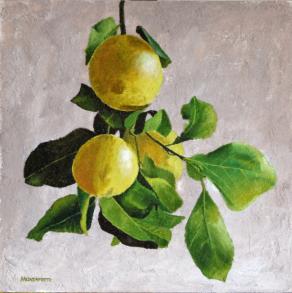 Limoni