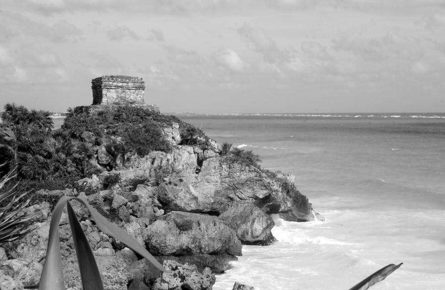 Tulum Ruins #8