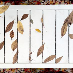 bronze leaves on a bench