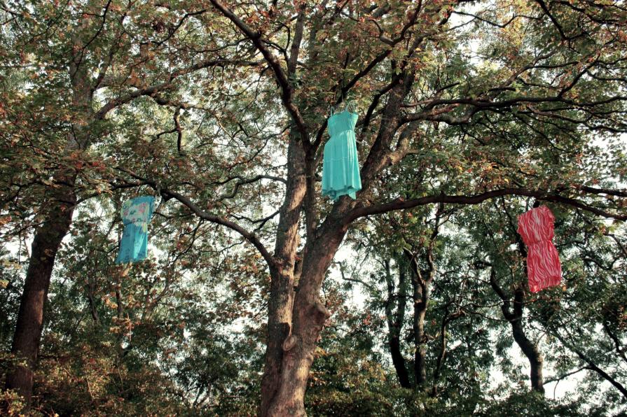 Dresses in the trees