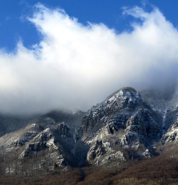 monte degli alburni