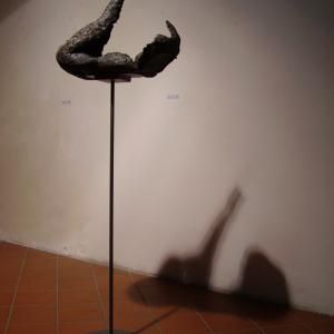 Mostra Personale Galleria del Carbone Ferrara