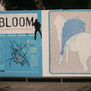 Bloom2