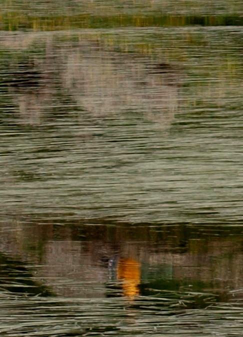 Riflesso giallo in lago alpino