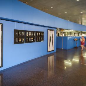 Letizia Ardillo - Pieni e vuoti-Biblioteca Nazionale Centrale- Roma