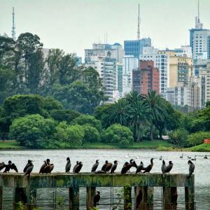 MAD a Firenze - Brasil. Appunti di viaggio 2 – Lucia Finocchito Photo exhibition